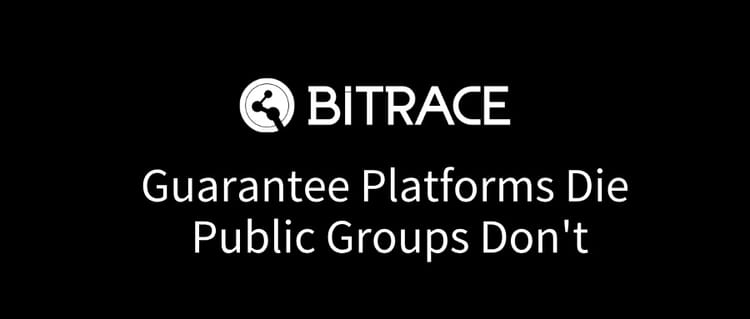 Organized Crime Networks: Guarantee Platforms Die, Public Groups Don't