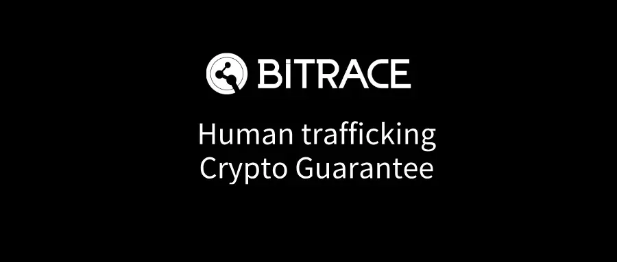 Bitrace: Analysis of the Cryptocurrency Transaction Records Related to the Rumored Scam of Actor Wang Xing