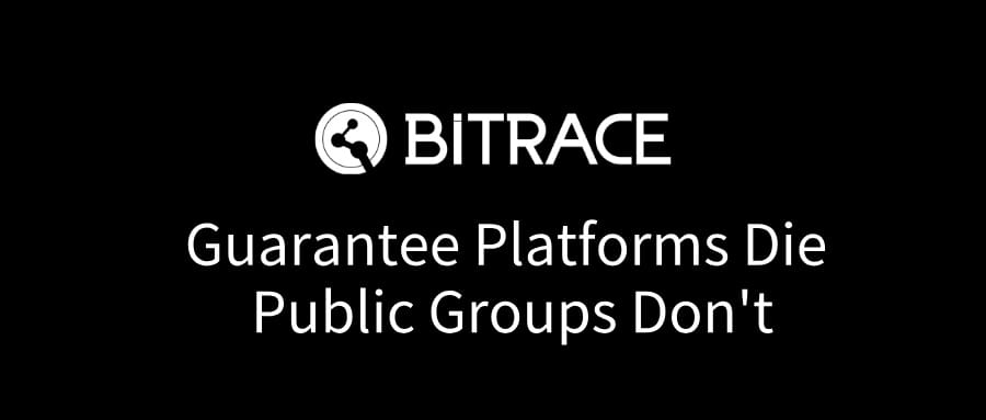 Organized Crime Networks: Guarantee Platforms Die, Public Groups Don't